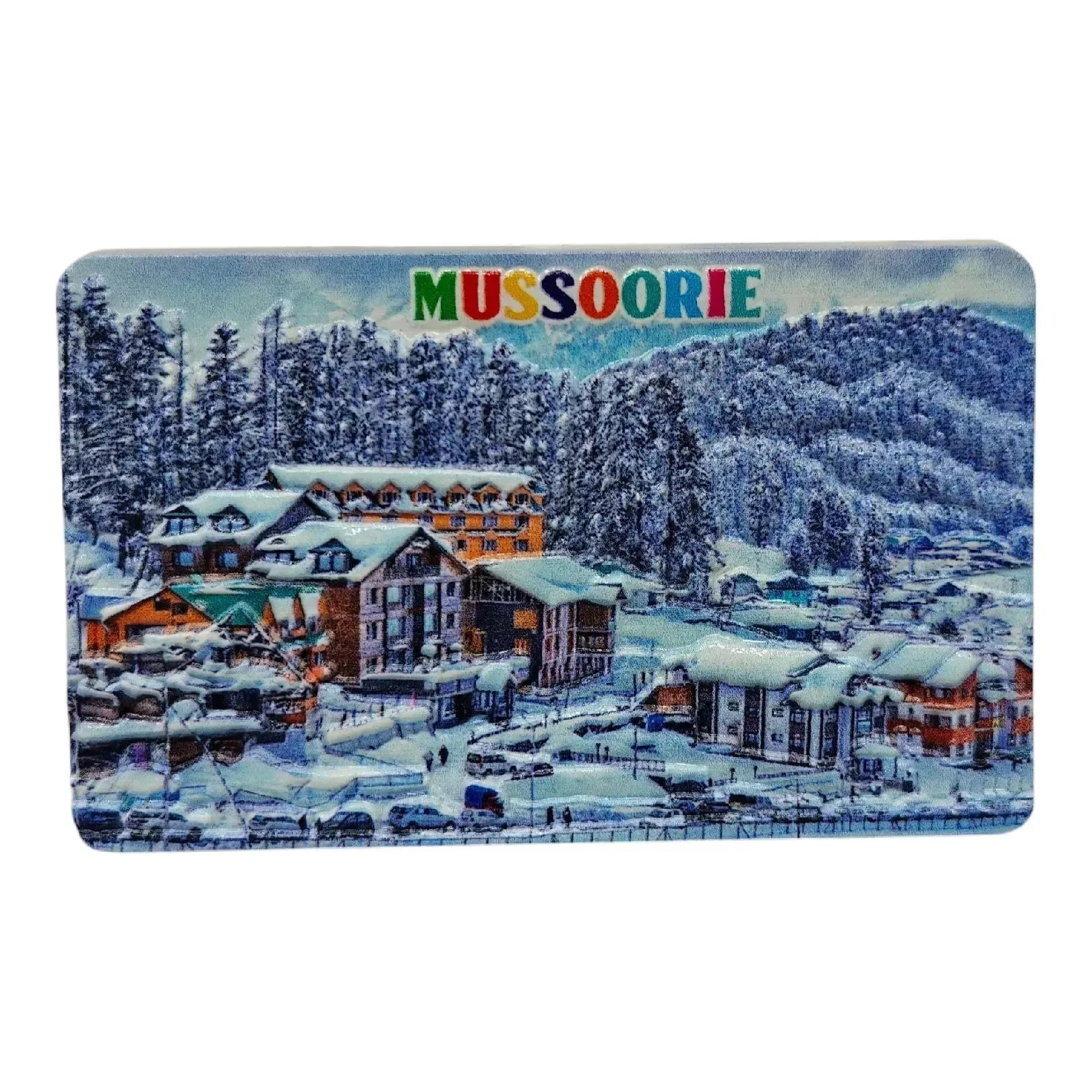 Incredible India Souvenir Fridge Magnets