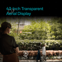 RayNeo X3 Pro AI+AR Smart Glasses - Bear Hugs