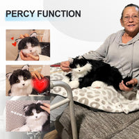 Percy Robot Cat - Interactive Emotional Support Pet Weighted - Bear Hugs