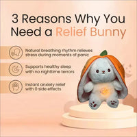 Strawberry Carrot Bunny Breathing Plushie