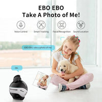 Enabot EBO X Home Guardian Robot 4K Camera,Night Vision HARMAN Sound Effect Intelligent AI Language Control Guardian Warning - Bear Hugs