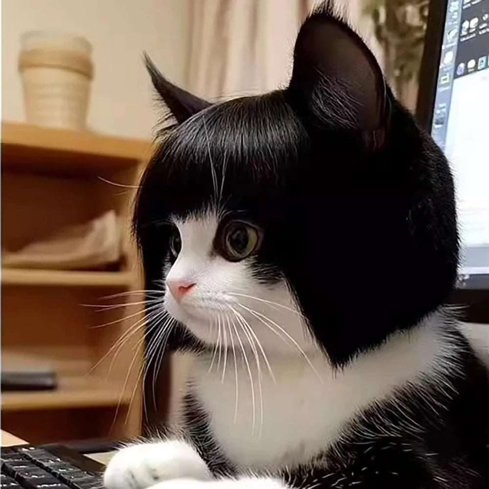 Pet Wig Dog Wig Pet Supplies Pet Accessories Curly Hair Straight Hair Cat Wig DIY trimmed party queen - Bear Hugs