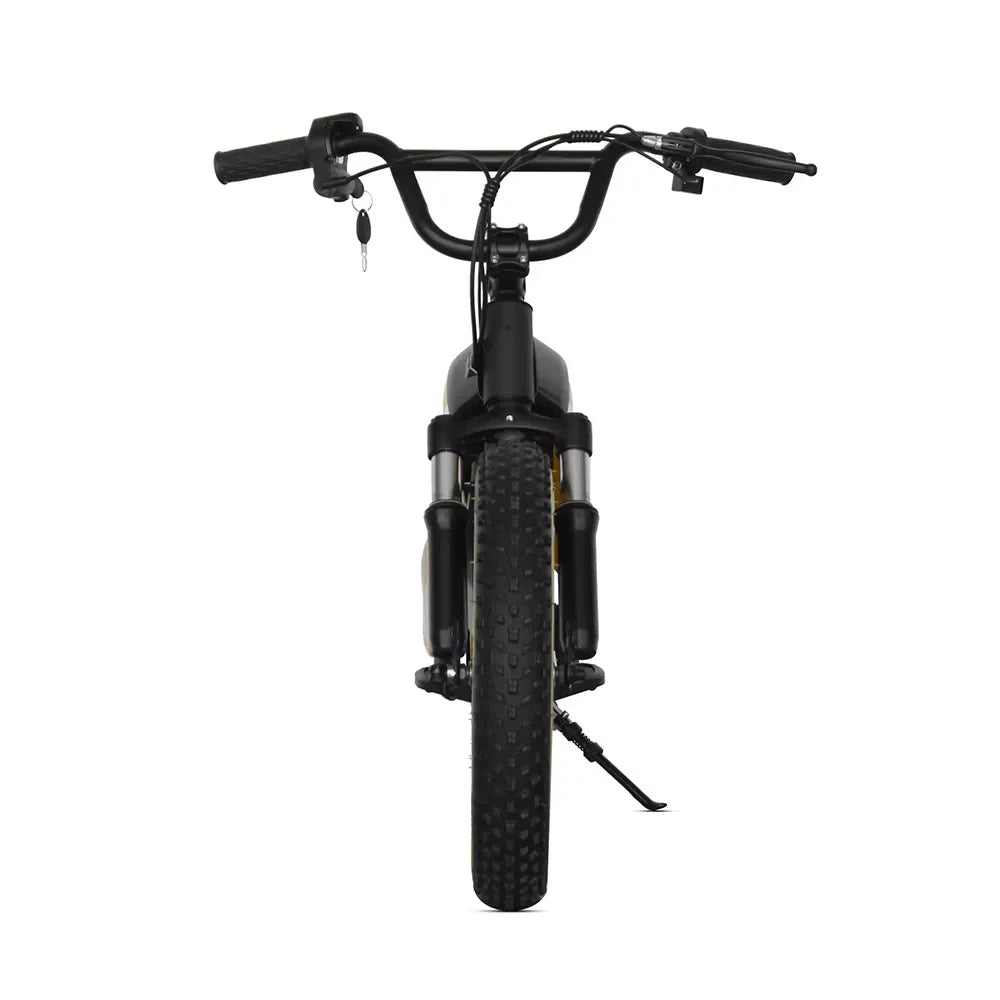 Runfly Blaze ET-01 Max Plus Electric Bike