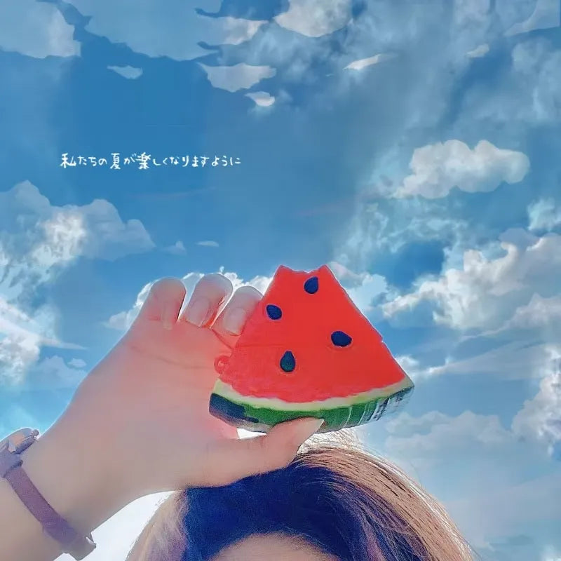 Watermelon Slice Case (For Airpods)