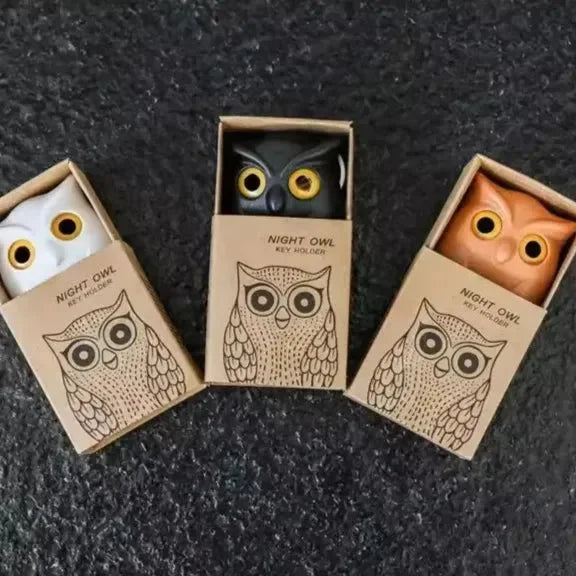 Wise Wing Owl Wall Hanger Hook
