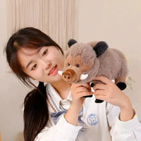 Fluffy Wild Boar Plushie Soft Toy - Bear Hugs