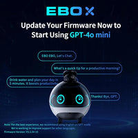 Enabot EBO X Home Guardian Robot 4K Camera,Night Vision HARMAN Sound Effect Intelligent AI Language Control Guardian Warning - Bear Hugs