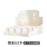 Skullpanda The Warmth Series Blind Box