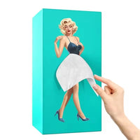 Flying Skirt Novelty Tissue Box - Bear Hugs
