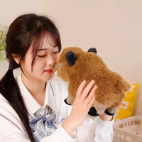 Fluffy Wild Boar Plushie Soft Toy - Bear Hugs