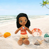 Moana & Hei Hei Feature Plush