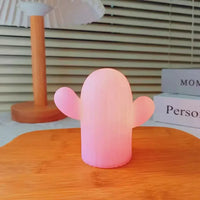 Desert Dream Cactus Night Light