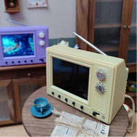 The World's Smallest TV