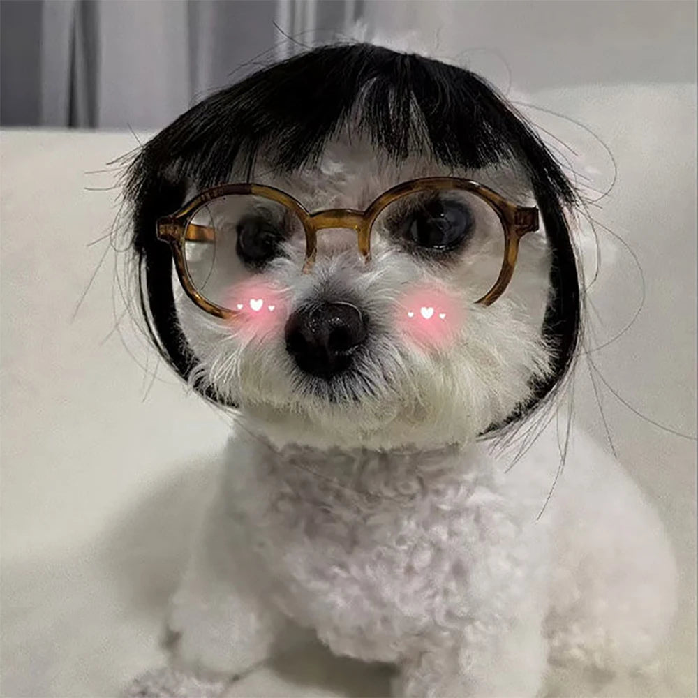 Pet Wig Dog Wig Pet Supplies Pet Accessories Curly Hair Straight Hair Cat Wig DIY trimmed party queen - Bear Hugs