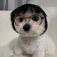 Pet Wig Dog Wig Pet Supplies Pet Accessories Curly Hair Straight Hair Cat Wig DIY trimmed party queen - Bear Hugs