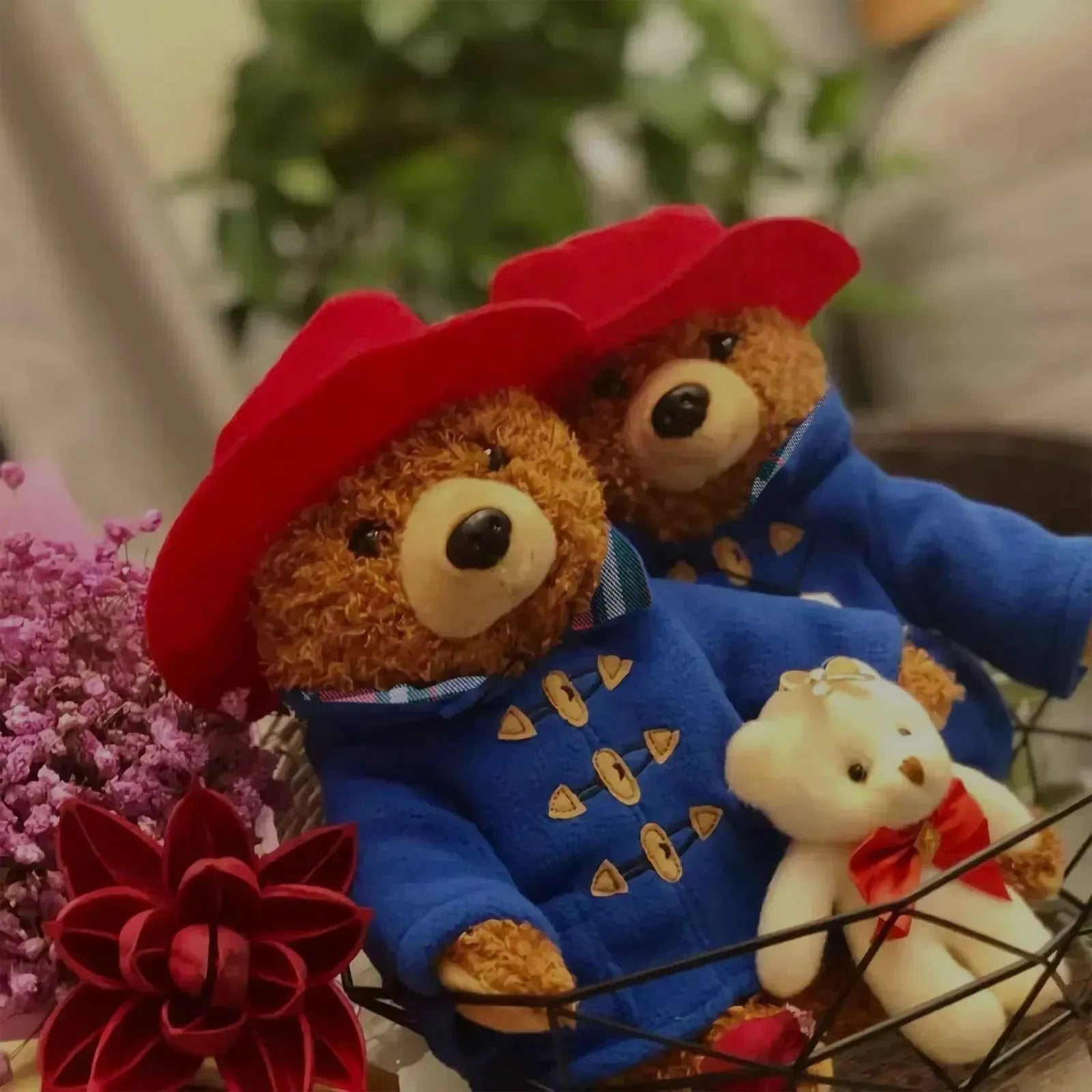 Marmalade Bear Plush Companion (28 cm)