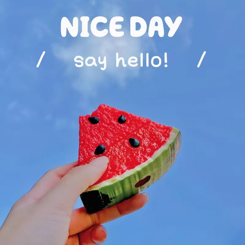 Watermelon Slice Case (For Airpods)