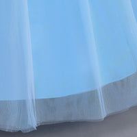 Princess Cinderella Deluxe Elegant Ball Gown