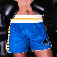 Saiyan Prince Armor Training Shorts