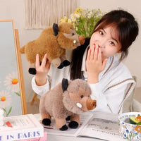 Fluffy Wild Boar Plushie Soft Toy - Bear Hugs
