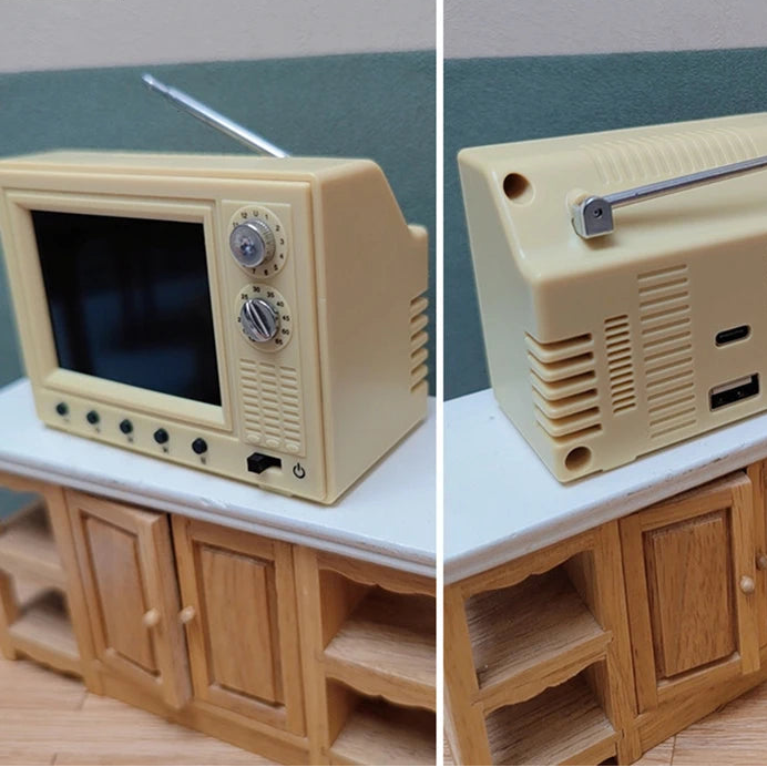 The World's Smallest TV
