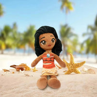 Moana & Hei Hei Feature Plush