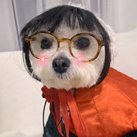 Pet Wig Dog Wig Pet Supplies Pet Accessories Curly Hair Straight Hair Cat Wig DIY trimmed party queen - Bear Hugs