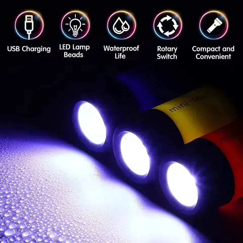 Bright Buddy Waterproof Torch Keychain
