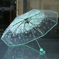 Fashion Sakura Folding Umbrella PN3423 - Bear Hugs