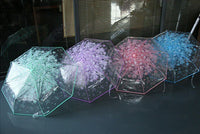 Fashion Sakura Folding Umbrella PN3423 - Bear Hugs