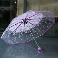 Fashion Sakura Folding Umbrella PN3423 - Bear Hugs