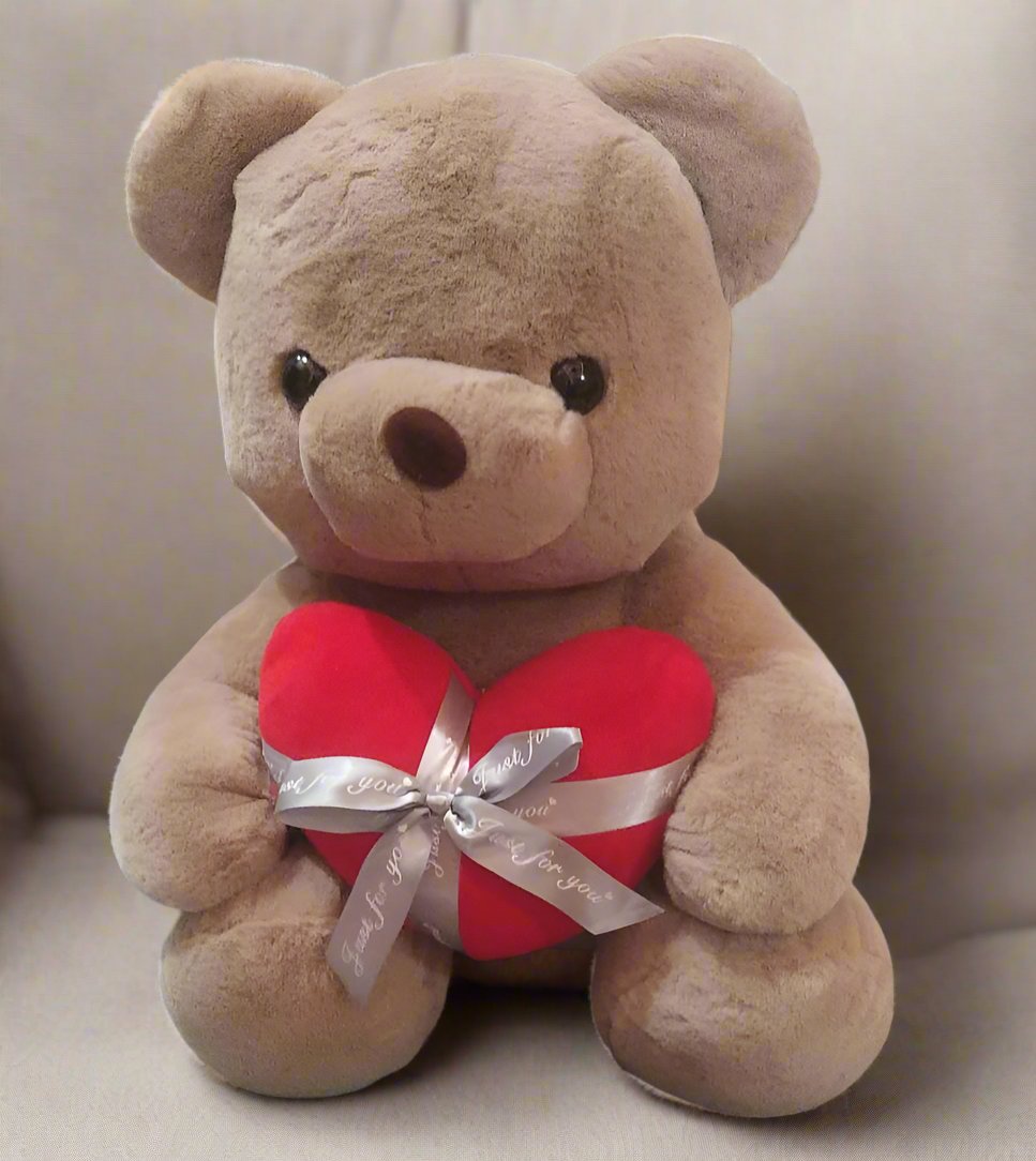 Premium Heart Teddy Plushie