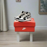 Iconic Kicks Miniature Boxed Sneakers