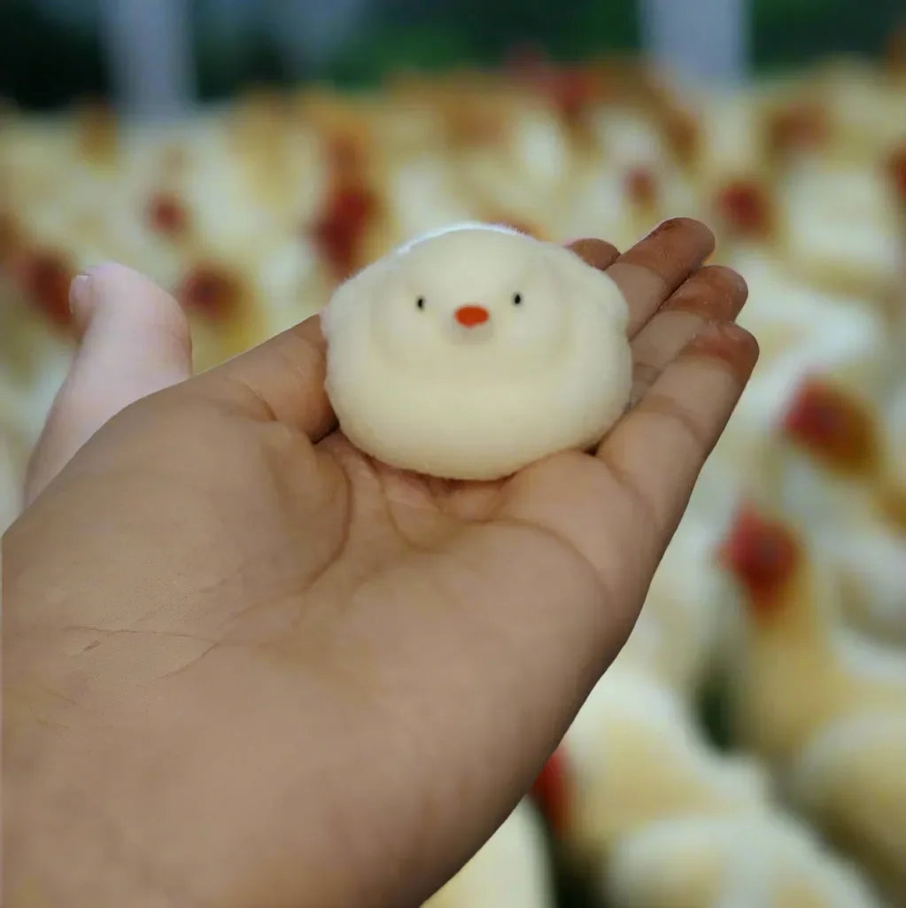 Chubby Chick Silicone Squishy Toy