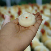 Chubby Chick Silicone Squishy Toy