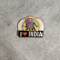 Incredible India Souvenir Fridge Magnets