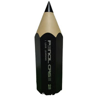 Pencil-shaped punching bag with 'Pental Case' branding on a grassy surface.