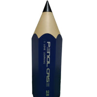 Pointy Perfection Pencil Shaped Case