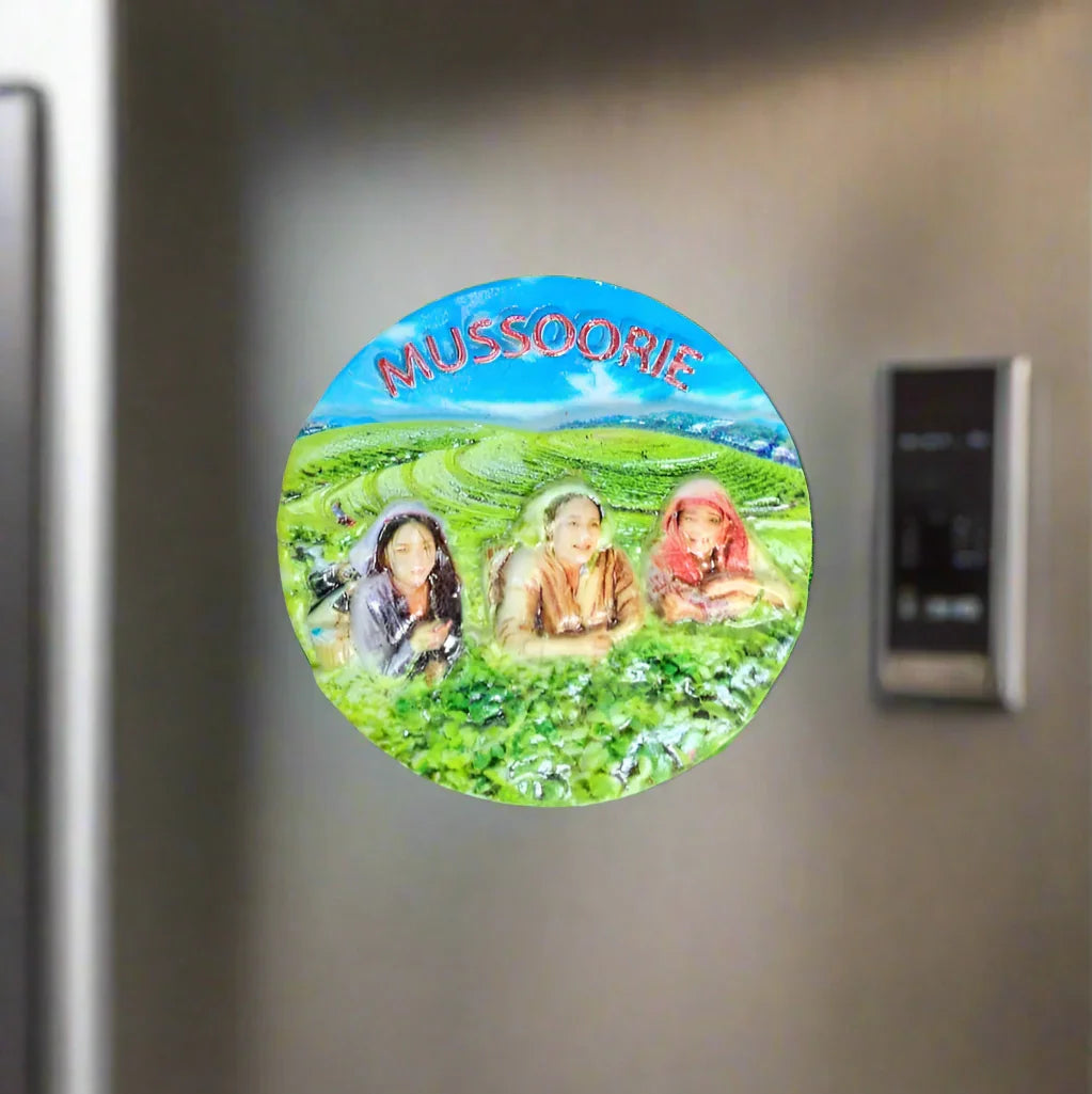 Incredible India Souvenir Fridge Magnets