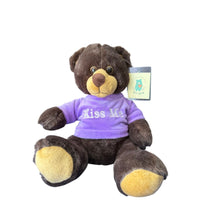 Message Bear Plush Series