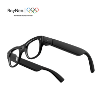 RayNeo X3 Pro AI+AR Smart Glasses - Bear Hugs