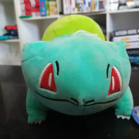 بلباسور بلوم بلاشي (35 سم) 