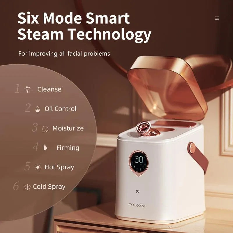 Advanced Nano Ionic Face Steamer - Bear Hugs