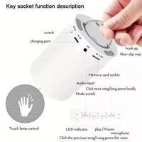 AuraWave Touch Control Bluetooth Speaker Lamp - Bear Hugs