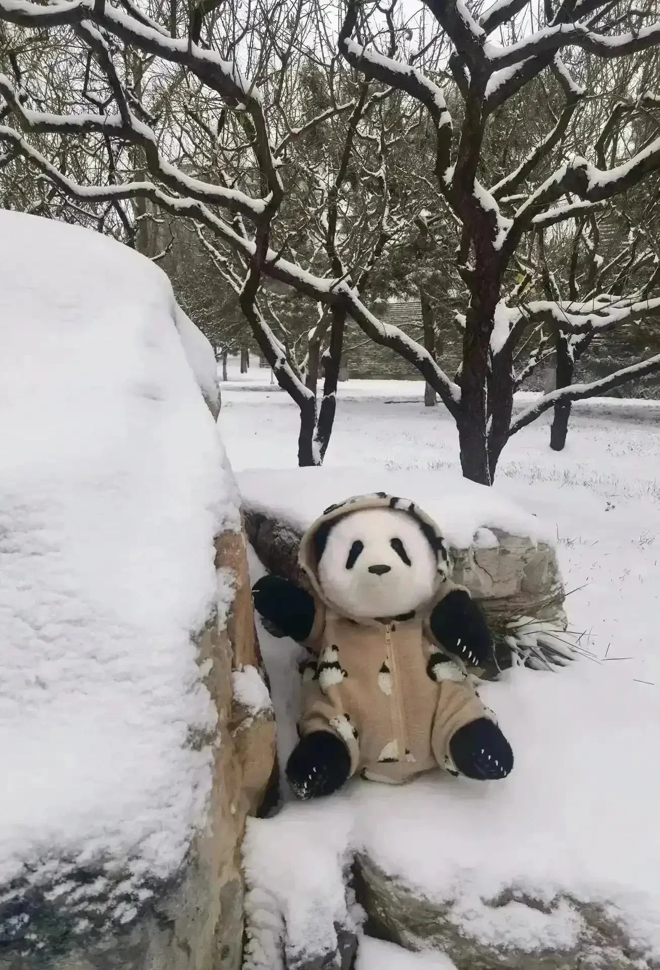 Bamboo Buddy Realistic Panda Plushie (38 cm) - Bear Hugs