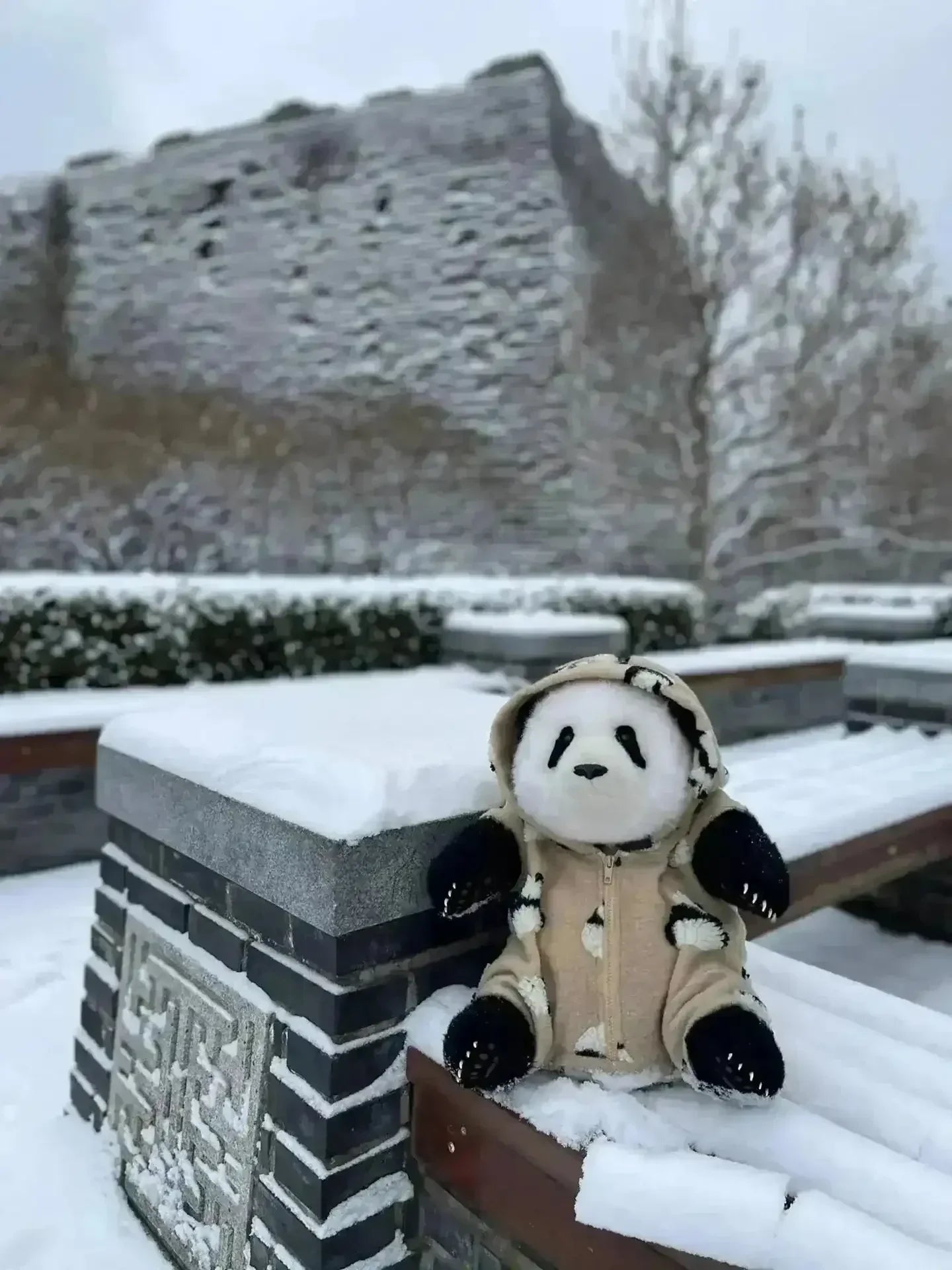 Bamboo Buddy Realistic Panda Plushie (38 cm) - Bear Hugs