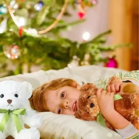 Bowtie Teddy Buddy Plushie (30 cm) - Bear Hugs