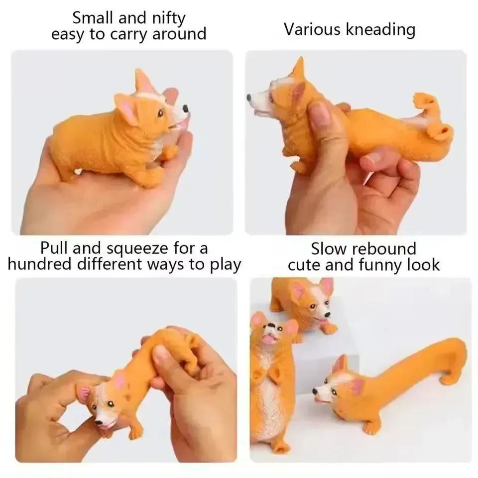 Corgi Stretch Decompression Toy - Bear Hugs