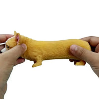 Corgi Stretch Decompression Toy - Bear Hugs