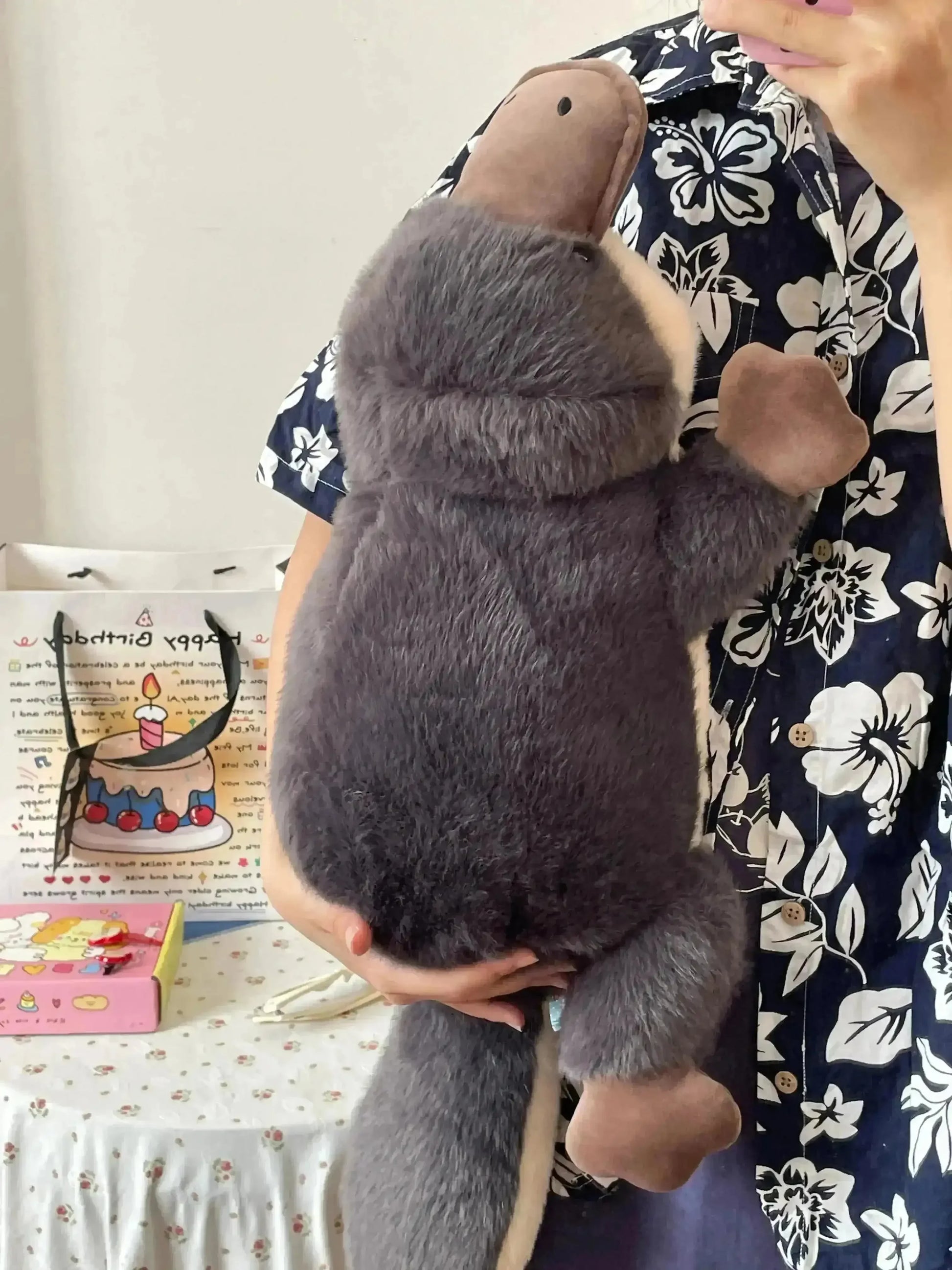 Cute Platypus Plushie (60 cm) - Bear Hugs